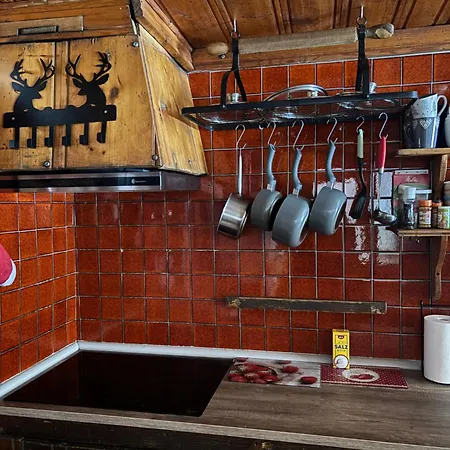 La Montagne * שאמוני